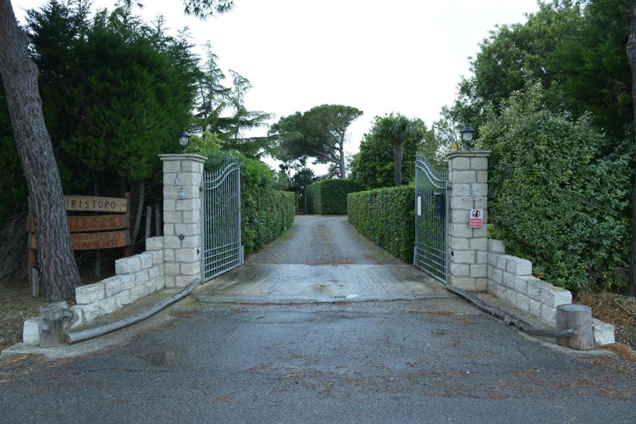 Nato Contadino Villa Capalbio Luaran gambar